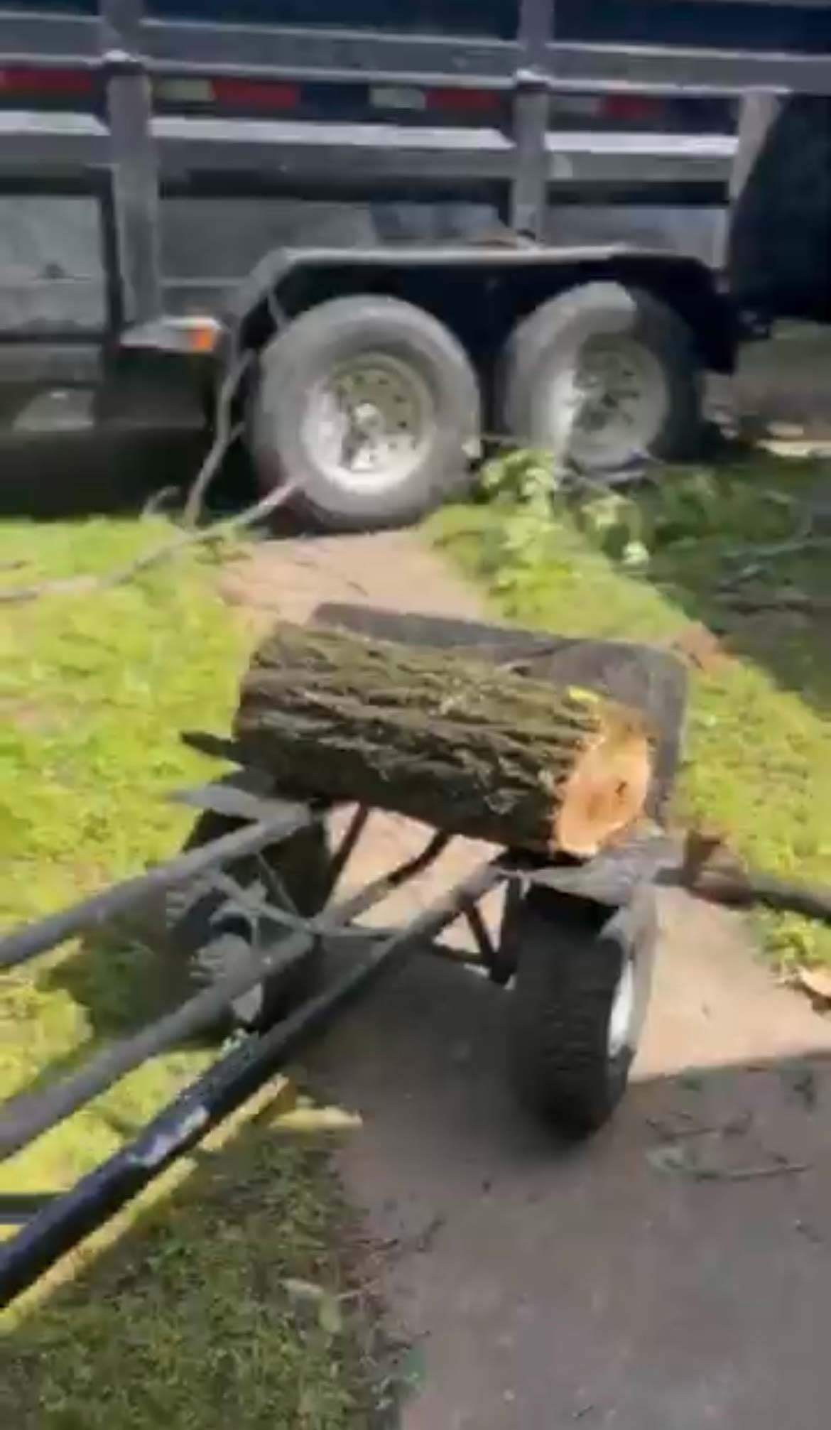 tree removal price list