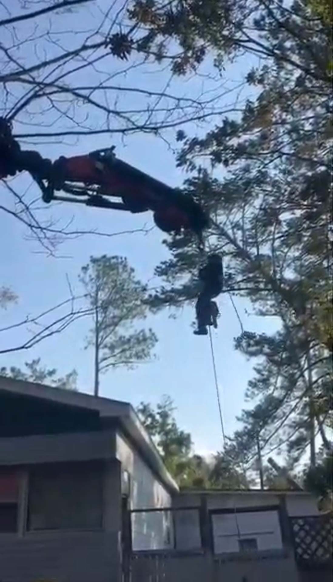 tree removal estimate online