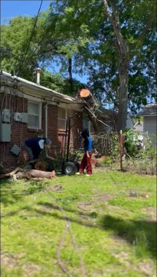 stump grinding Tulsa OK